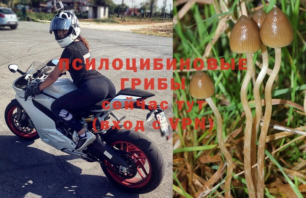 мяу мяу мука Верхний Тагил