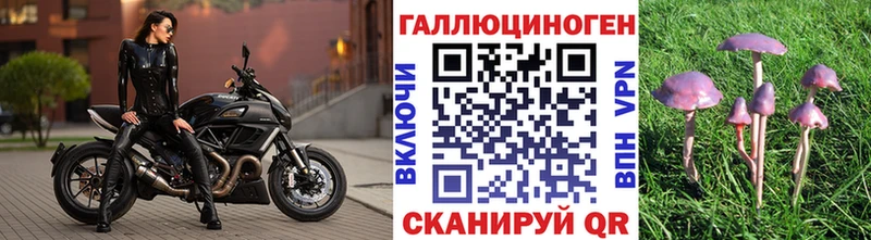 даркнет сайт  Берёзовка  ссылка на мегу ССЫЛКА  Псилоцибиновые грибы Magic Shrooms 
